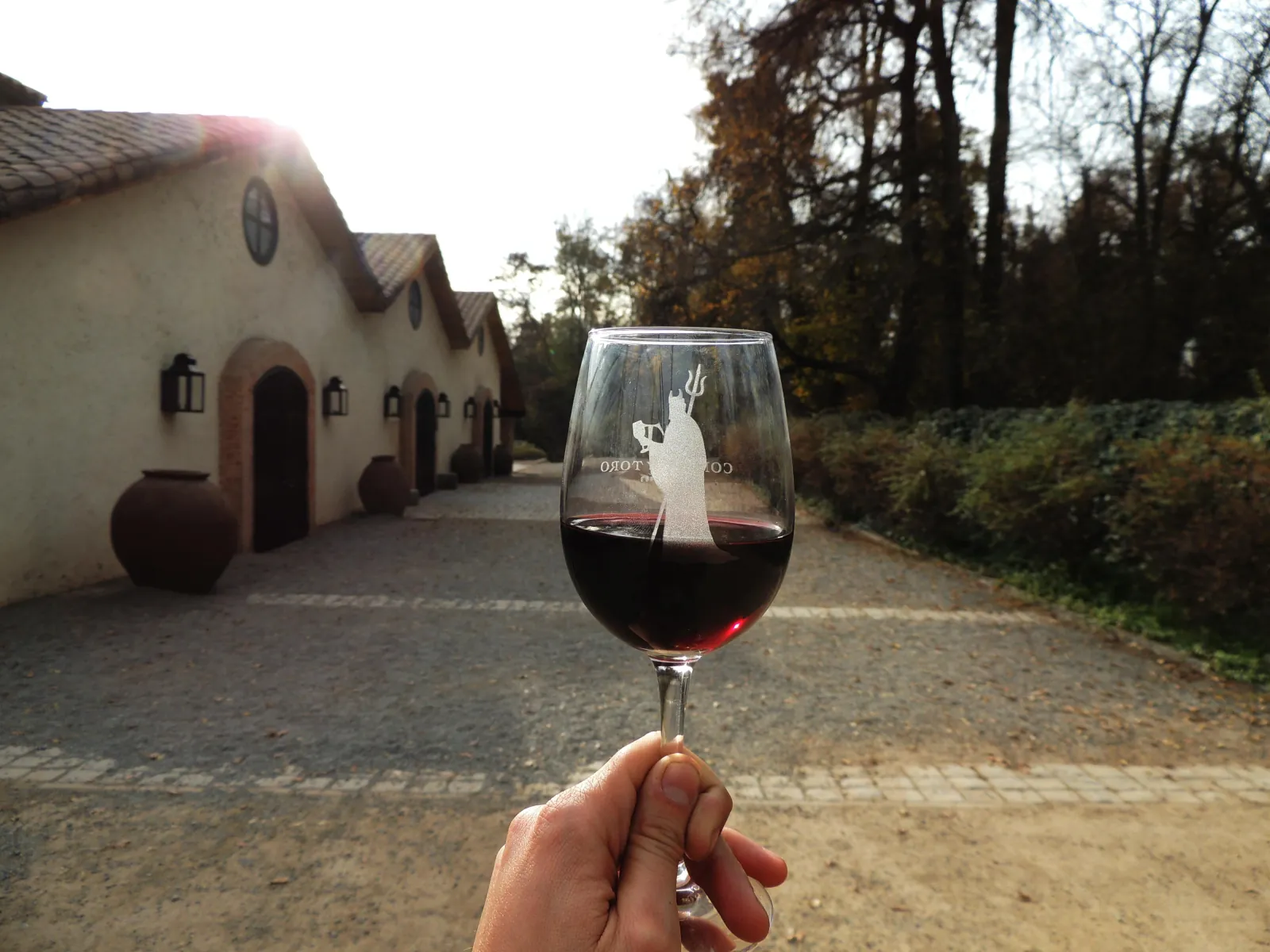 Concha y Toro and Undurraga Tour from Santiago, or Undurraga Only