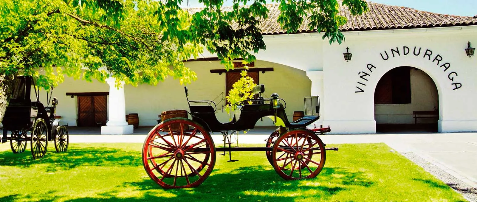 Antique carriage with red wheels on the lawn outside the Viña Undurraga entrance