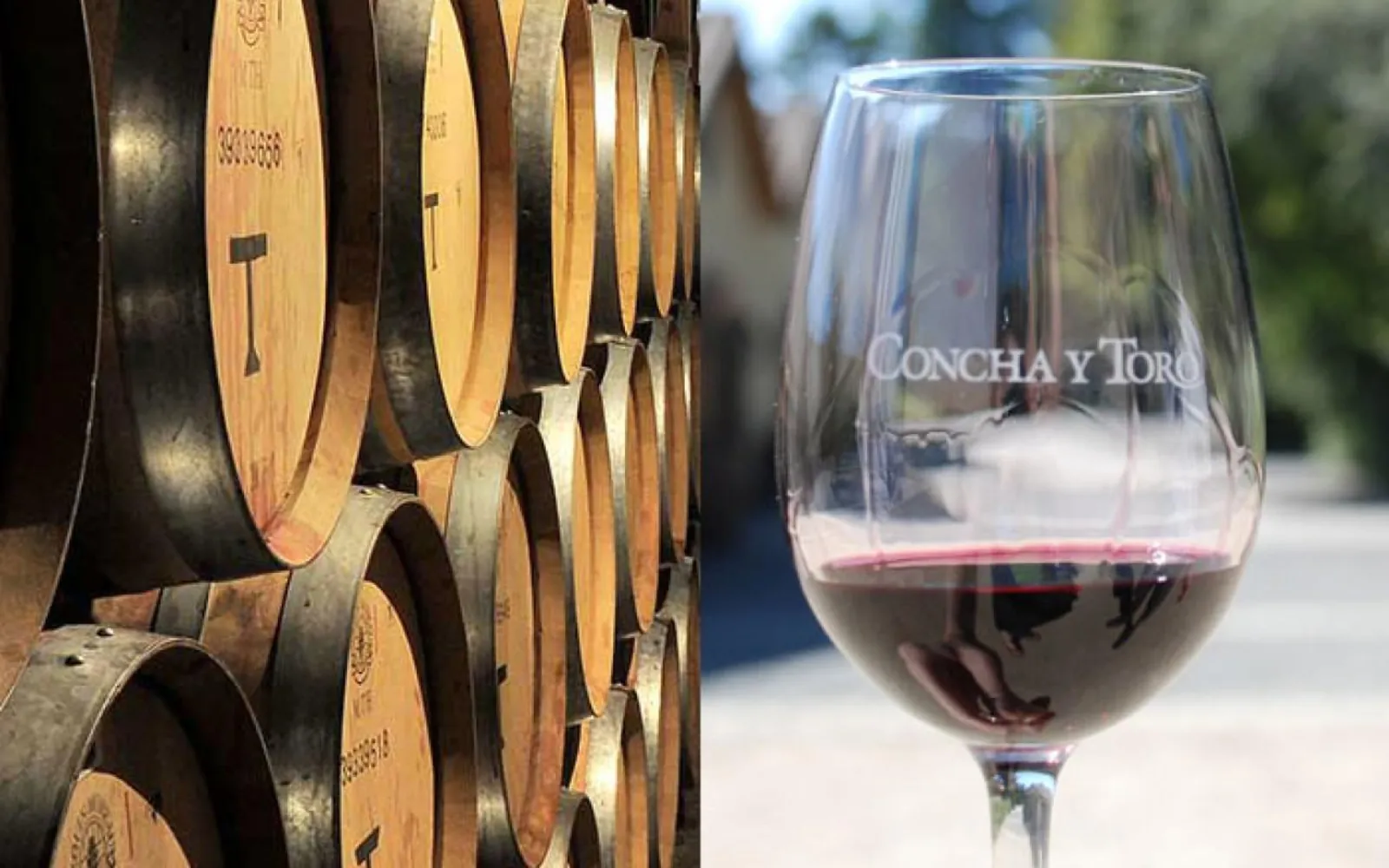 Stacked oak barrels beside a Concha y Toro glass of red wine