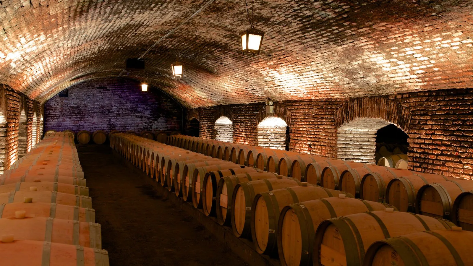 Lantern-lit brick vault with long rows of oak barrels