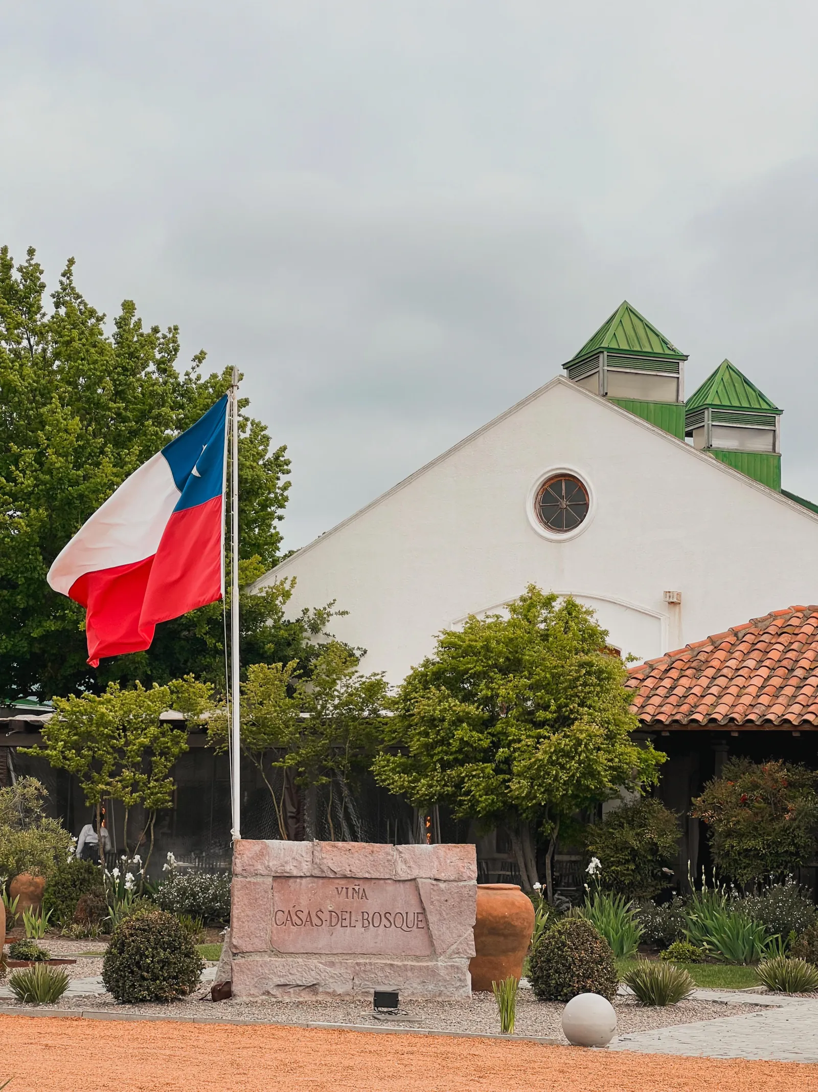 Casas del Bosque Winery Tour with Tasting and Tanino Lunch