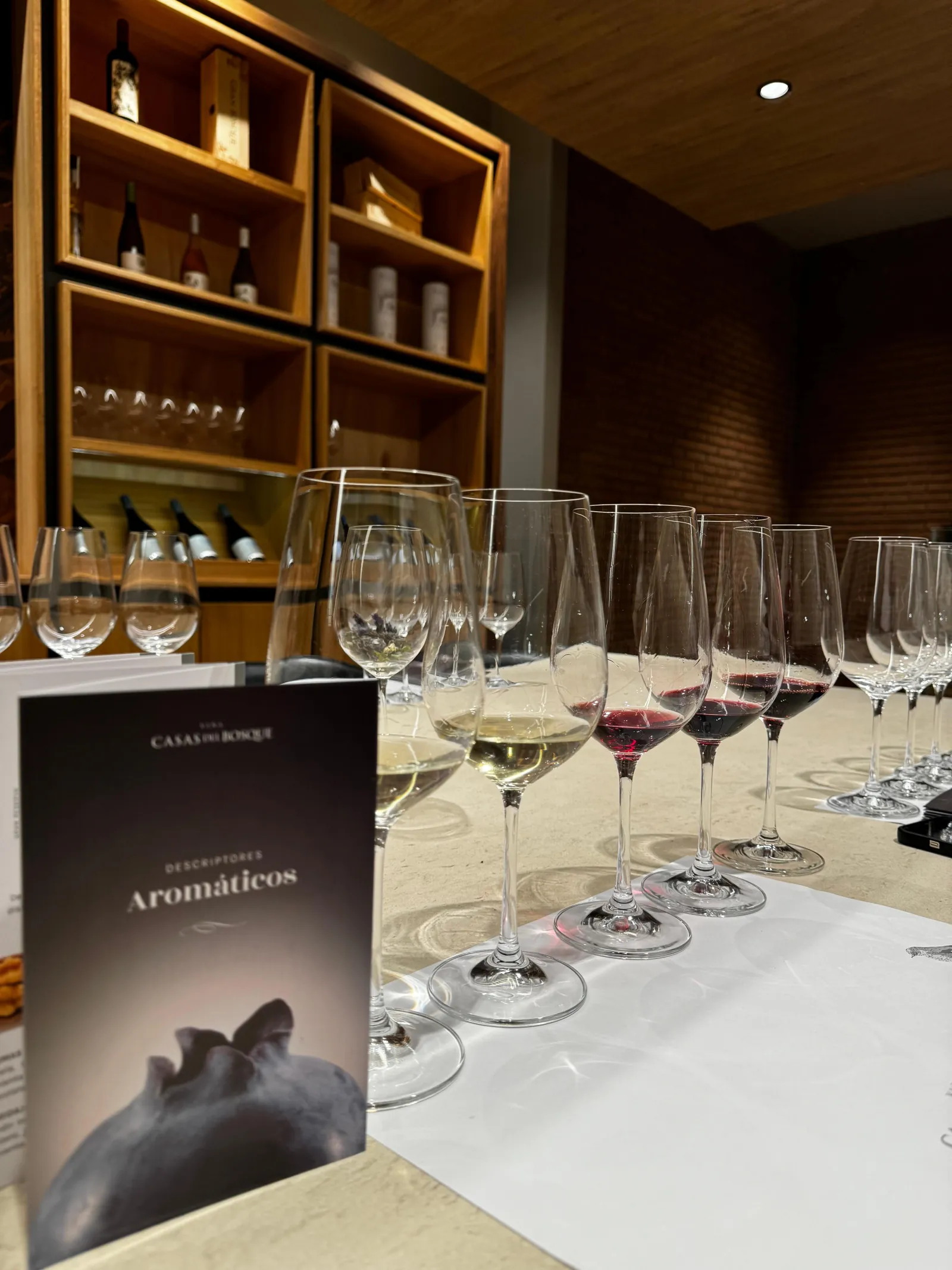 Tasting glasses of white and red wine beside a Casas del Bosque card