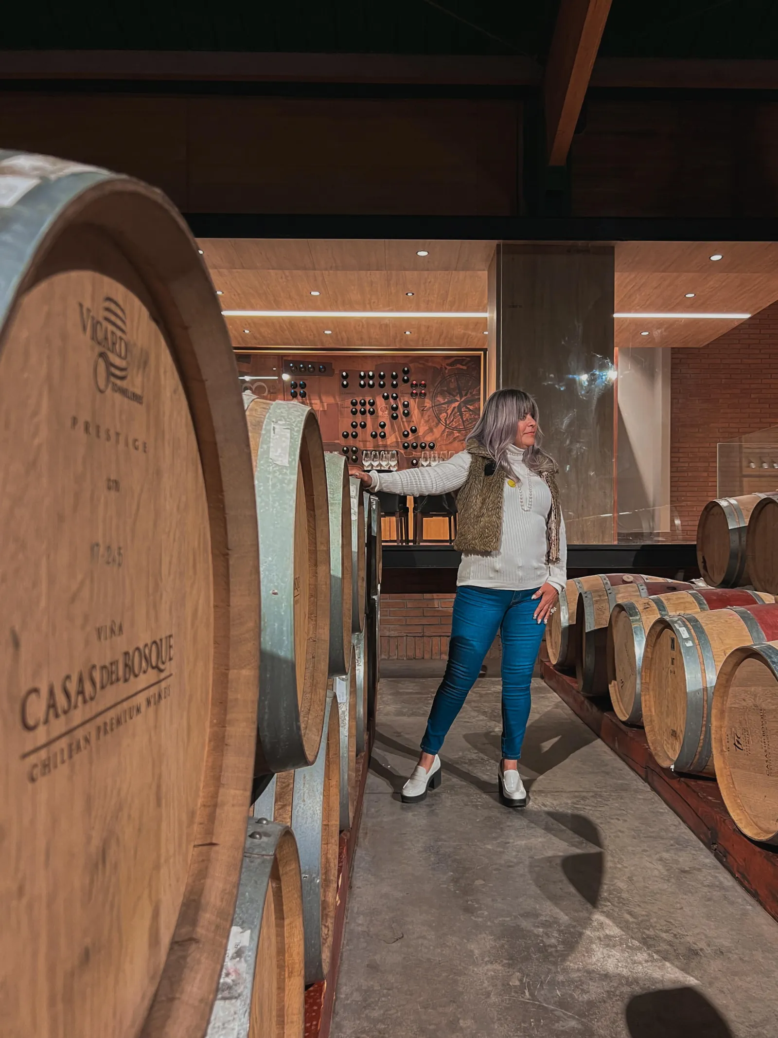Visitor between rows of Casas del Bosque barrels in a lit cellar