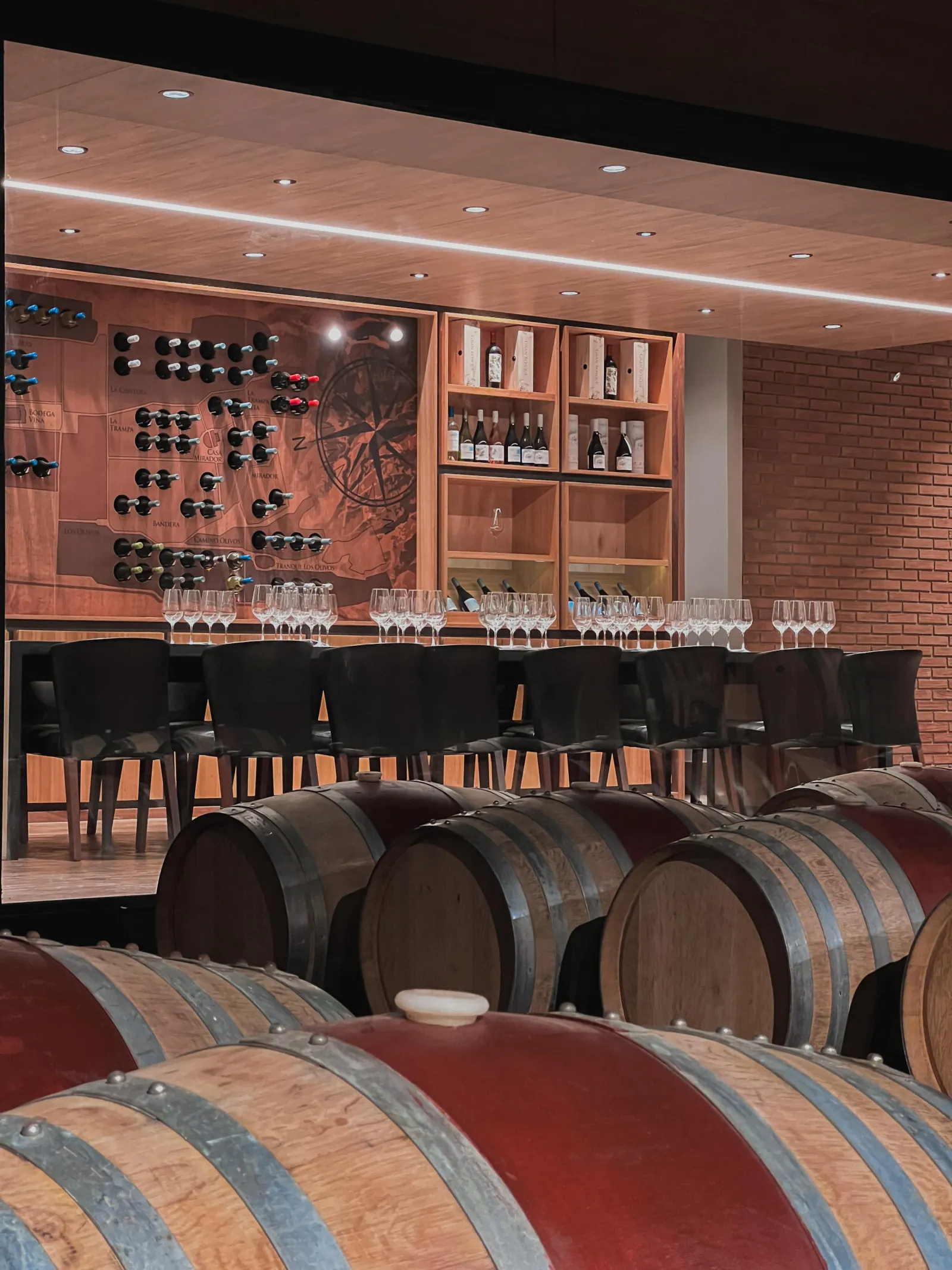 Barrel room with oak casks before a tasting bar and wine-map wall