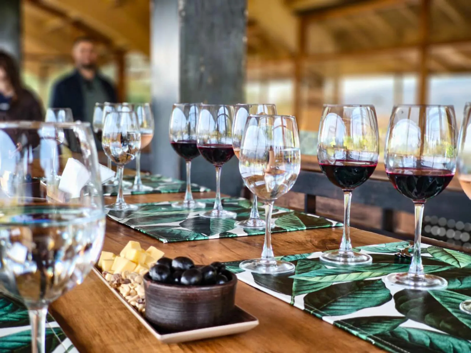 Tasting table set with red wines, cheese cubes and a bowl of olives