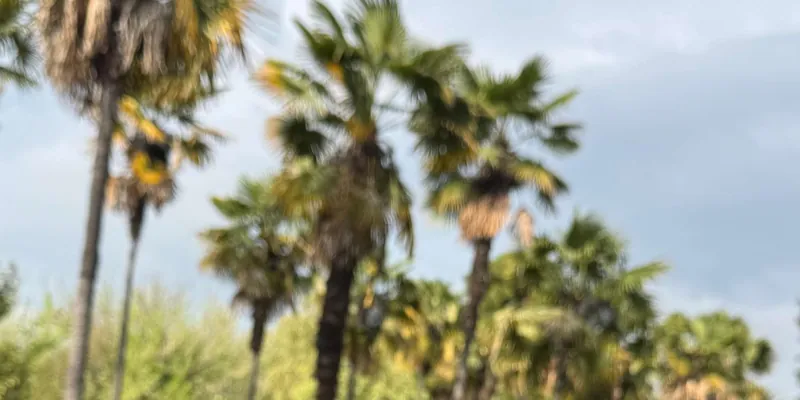 Guest photo from review