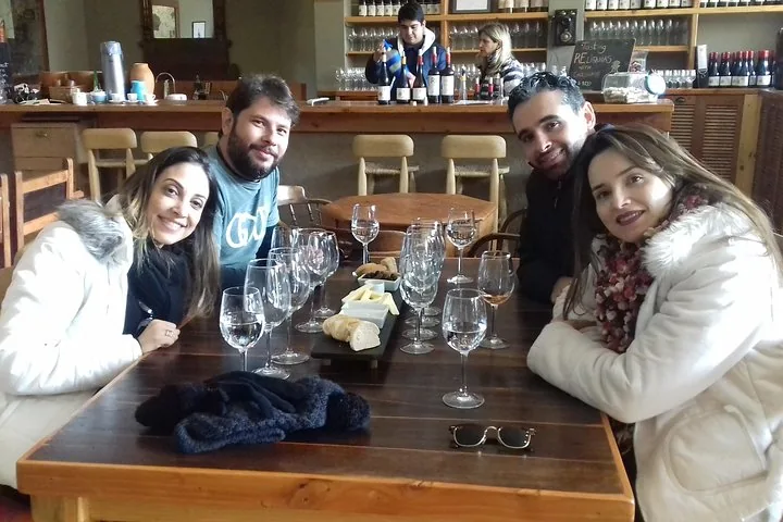 Four friends at a tasting table with glasses and a cheese plate