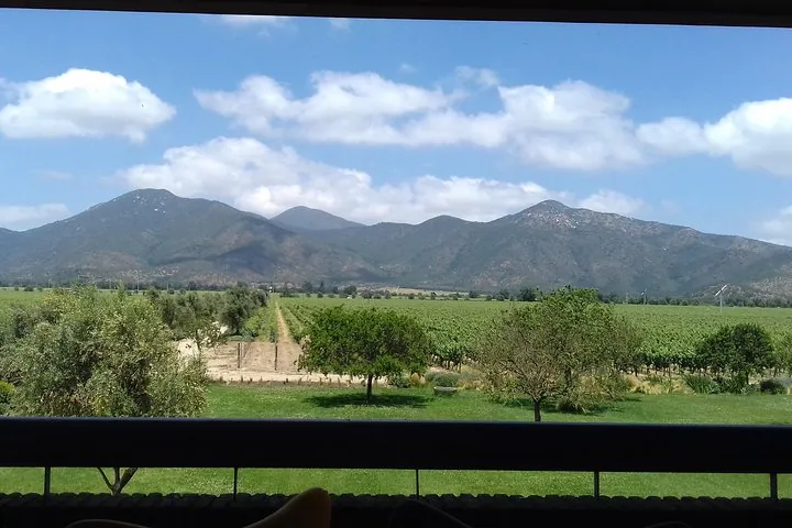 Vineyards and trees seen through a window, with a mountain ridge behind