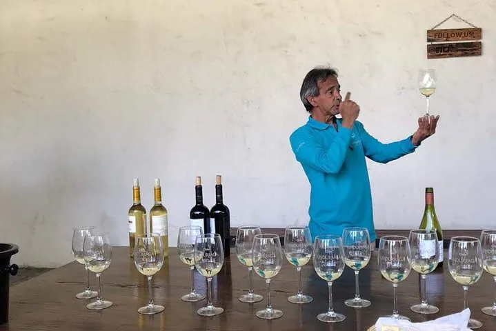 Guide holding up a glass of white wine behind rows of tasting glasses