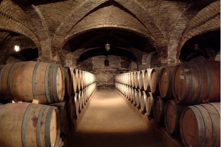 Private Maipo Valley Tour: Concha y Toro, Santa Rita and Undurraga