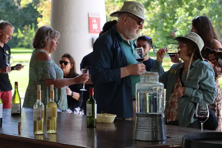 Visitors sipping red and white wine at a covered outdoor tasting bar