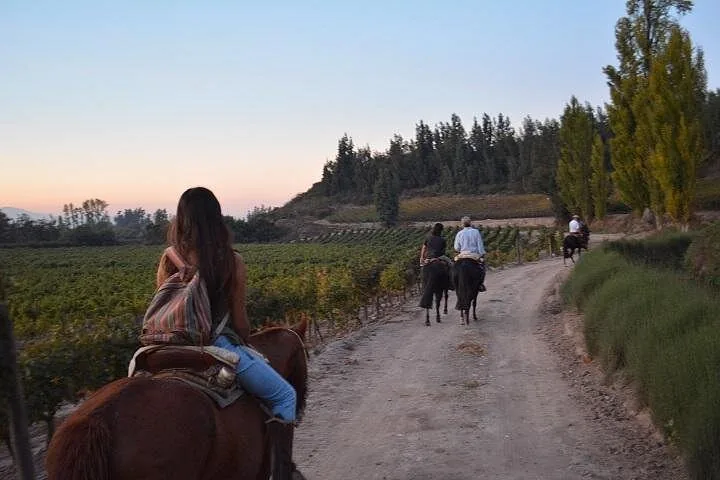 Private Horseback Ride, Country Grill and Organic Winery Tasting