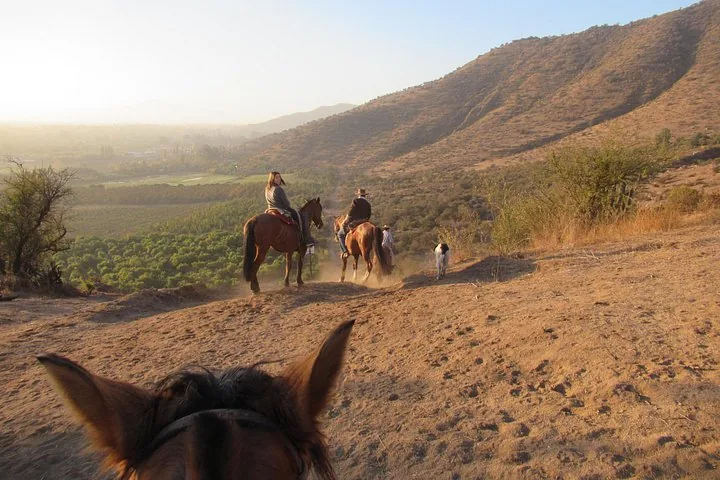 View between a horse's ears of riders and a dog on a dusty hillside