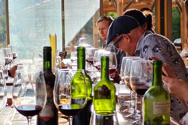 Rows of red wine glasses and green bottles along a tasting bar