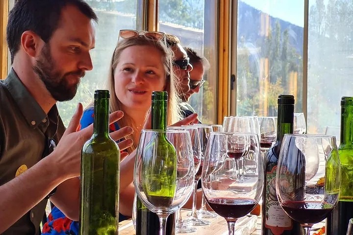 Visitors discussing red wine at a sunlit window counter with bottles