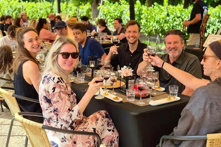 Guests toasting with red wine at a long table beside green vines