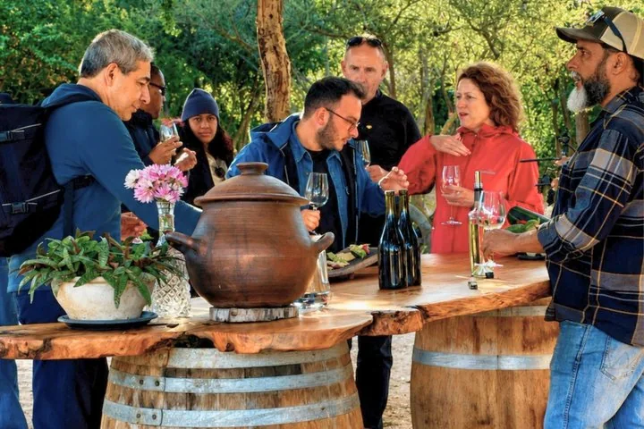 Four Casablanca Wineries: Emiliana, Bodegas RE, Casa del Molle, Tanino