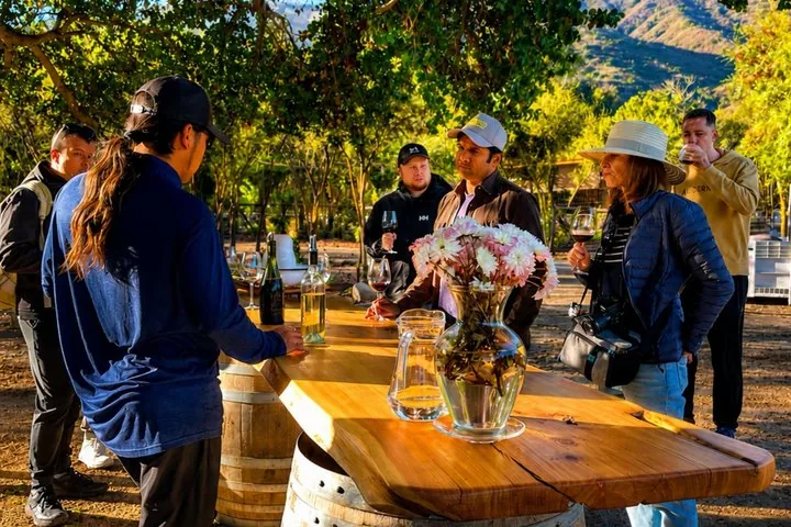 Tasting group standing at an outdoor barrel table under trees, hills behind