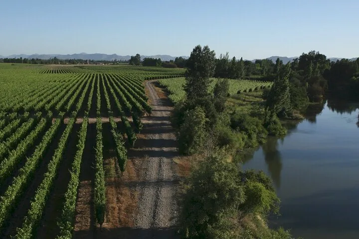 Private Colchagua Wine Tour: Los Maquis and Neyen from Santiago