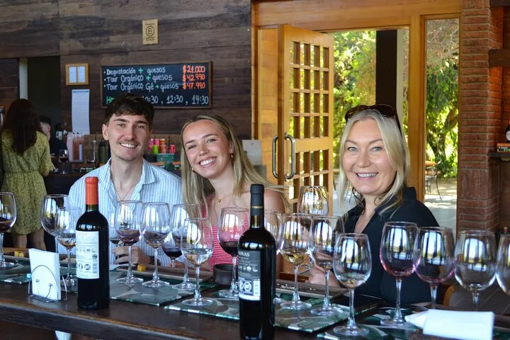 Three visitors at a tasting bar set with rows of filled glasses
