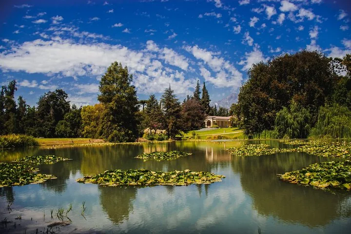 Concha y Toro Premium Wine Center Tour from Santiago