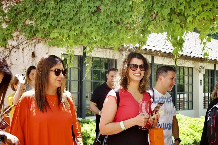 Smiling guests holding wine glasses beneath a vine-covered pergola