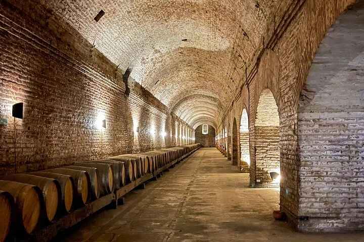 Long brick-vaulted cellar with oak barrels along one wall