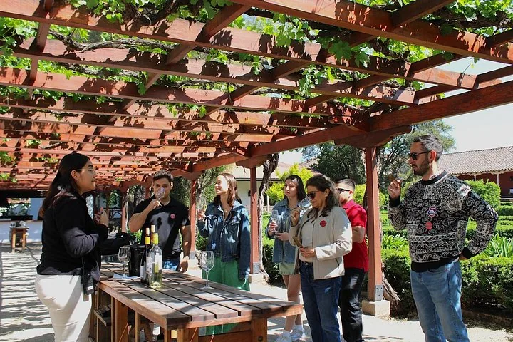 Guide pouring wine for a group under a vine-covered wooden pergola