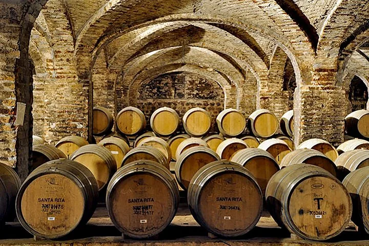 Santa Rita Winery Day Tour with Lunch and Andean Museum