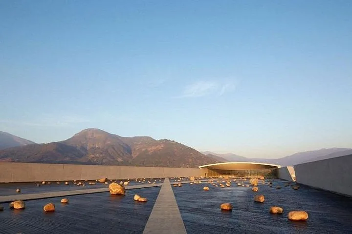 Full-Day VIK and Montes Premium Wine Tour from Santiago