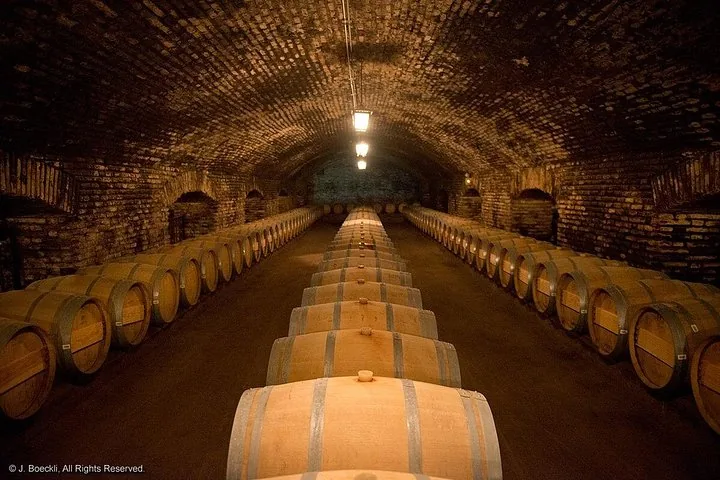 Long brick-vaulted cellar with rows of oak barrels under bare lamps